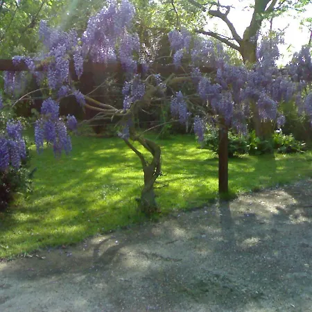 Con Piscina * Canale Monterano