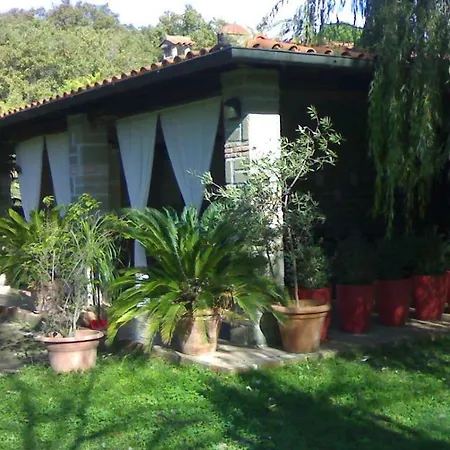Con Piscina Canale Monterano